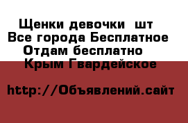 Щенки девочки 4шт - Все города Бесплатное » Отдам бесплатно   . Крым,Гвардейское